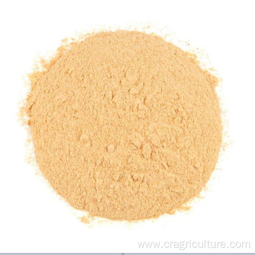 Roasted Garlic Powder High Quality Price